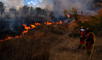 Factores climáticos extremos, el abandono rural y negligencias humanas son algunas de las causas detrás de esta ola de incendios.