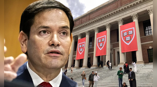 Marco Rubio dijo que investigará a Harvard por el manejo de visas internacionales a estudiantes extranjeros.