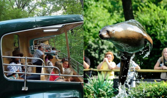  Destacan: el zoológico infantil, incluyendo su área de mascotas, el Asia Monorail que recorre bestias asiáticas, Jungle World y Edge Of Darkness. Destacan: el zoológico infantil, incluyendo su área de mascotas, el Asia Monorail que recorre bestias asiáticas, Jungle World y Edge Of Darkness.