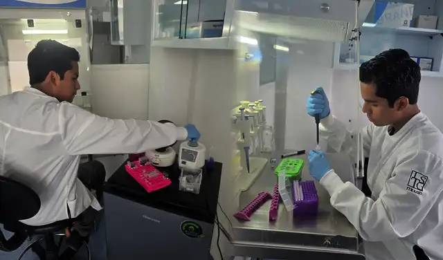 Ian Enmanuel Gonzáles en Instituto de Biología Molecular de México, realizando su segunda estancia doctoral. Foto: composición Latino Actual/ ianemmanuelglzsantos Ian Enmanuel Gonzáles en Instituto de Biología Molecular de México, realizando su segunda estancia doctoral. Foto: composición Latino Actual/ ianemmanuelglzsantos