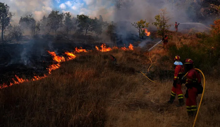 Factores climáticos extremos, el abandono rural y negligencias humanas son algunas de las causas detrás de esta ola de incendios. Factores climáticos extremos, el abandono rural y negligencias humanas son algunas de las causas detrás de esta ola de incendios.