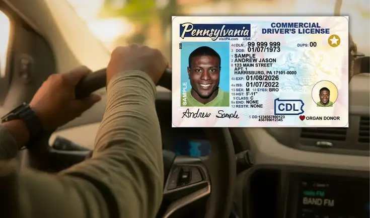 La Ley Real ID en EE. UU. establece normas de seguridad para licencias de conducir e identificaciones válidos en el país. La Ley Real ID en EE. UU. establece normas de seguridad para licencias de conducir e identificaciones válidos en el país.