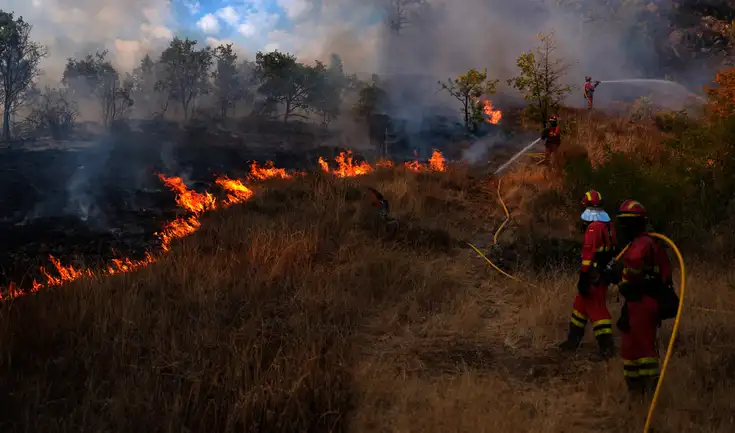 Factores climáticos extremos, el abandono rural y negligencias humanas son algunas de las causas detrás de esta ola de incendios. Factores climáticos extremos, el abandono rural y negligencias humanas son algunas de las causas detrás de esta ola de incendios.