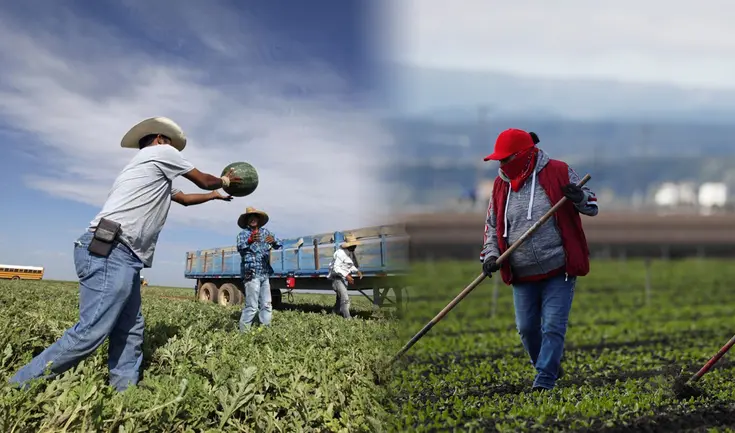 La caída en la inmigración también impactará negativamente en las cuentas fiscales del país. La caída en la inmigración también impactará negativamente en las cuentas fiscales del país.