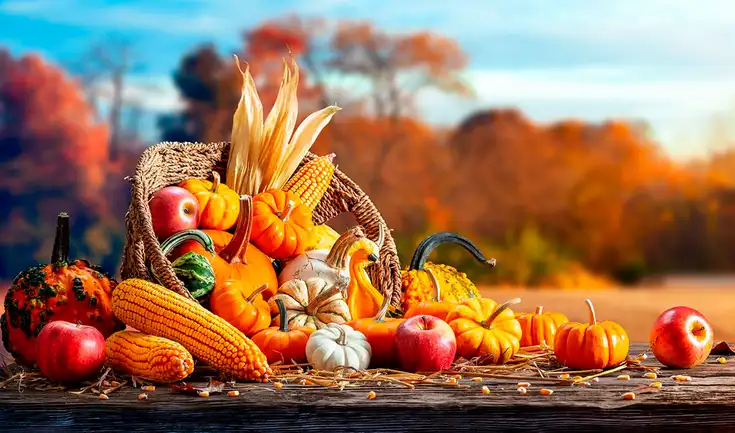 El Día de Acción de Gracias en EE. UU. se celebra el 27 de noviembre de 2025 y es la ocasión ideal para viajar. El Día de Acción de Gracias en EE. UU. se celebra el 27 de noviembre de 2025 y es la ocasión ideal para viajar.