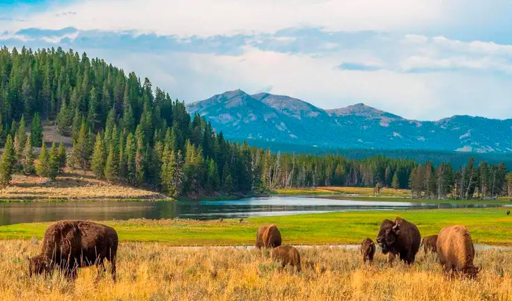 El Gobierno de EE. UU. implementará a partir de enero un recargo de US$100 para turistas internacionales que visiten 11 parques nacionales.