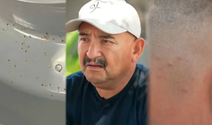 Una familia hispana en Jurupa Valley, California, sufrió un ataque repentino de abejas, resultando en más de 250 picaduras. El padre, Antonio Moreno, se encuentra en estado crítico tras ser hospitalizado. Una familia hispana en Jurupa Valley, California, sufrió un ataque repentino de abejas, resultando en más de 250 picaduras. El padre, Antonio Moreno, se encuentra en estado crítico tras ser hospitalizado.