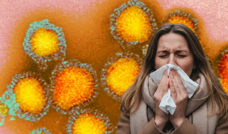 Los casos de la variante H3N2 se han presentado en el Reino Unido, España, Alemania, Francia e Italia. Los casos de la variante H3N2 se han presentado en el Reino Unido, España, Alemania, Francia e Italia.