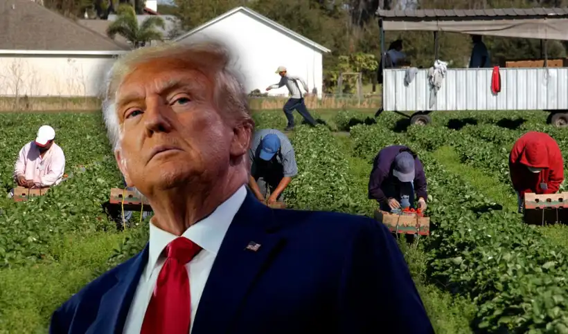 Un informe de la Reserva Federal alerta sobre las políticas contra inmigrantes de Donald Trump.