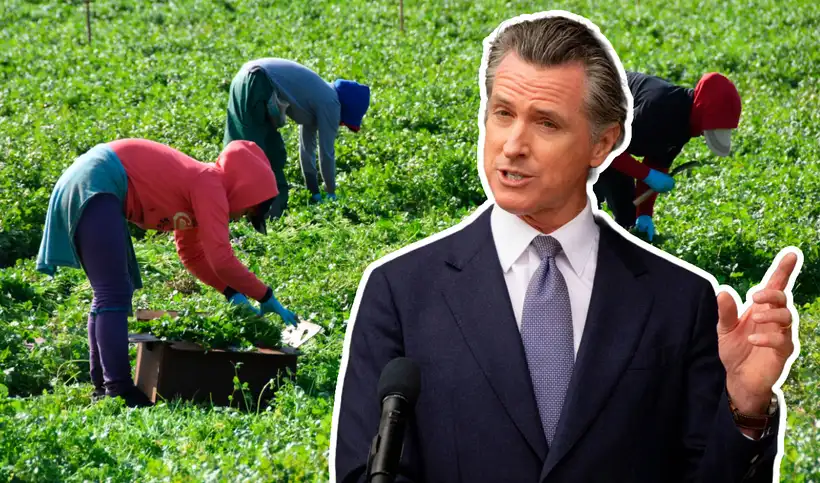 La Ley SB 831 entró en vigor el 1 de enero de 2024 en California.