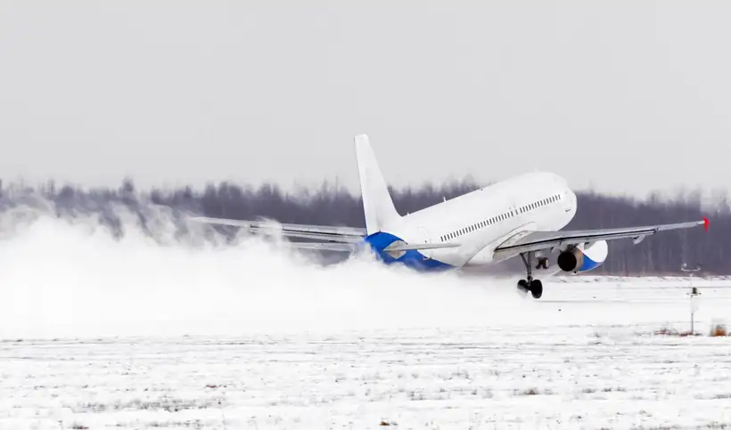 A causa de la tormenta de nieve, en el estado de Washington, se confirmó la muerte de una mujer cuando un árbol cayó sobre su vehículo.
